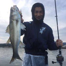 アマテラス 釣果