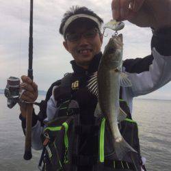 アマテラス 釣果