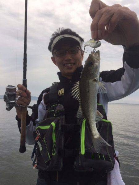 アマテラス 釣果