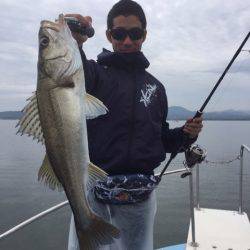 アマテラス 釣果