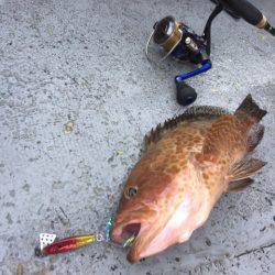 第二 海洋丸 釣果