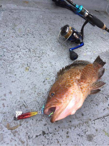 第二 海洋丸 釣果