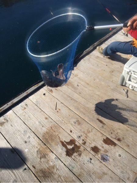 釣り堀水宝 釣果