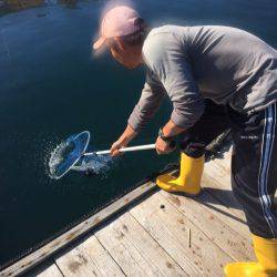 釣り堀水宝 釣果