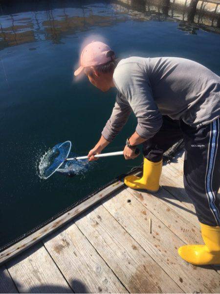釣り堀水宝 釣果
