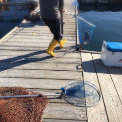 釣り堀水宝 釣果