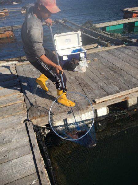 釣り堀水宝 釣果