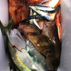 龍神丸(鹿児島) 釣果