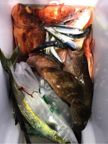 龍神丸(鹿児島) 釣果