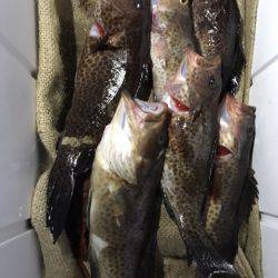 龍神丸(鹿児島) 釣果