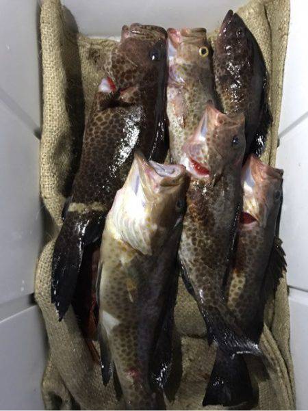 龍神丸（鹿児島） 釣果