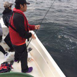 「LaGooN」蒼陽丸 日和号 釣果