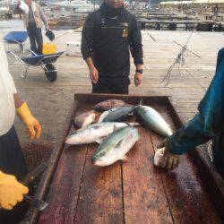 釣り堀水宝 釣果