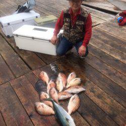 釣り堀水宝 釣果