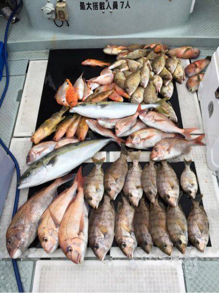 さくら丸 釣果