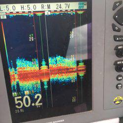 海楽隊 華栞丸 釣果