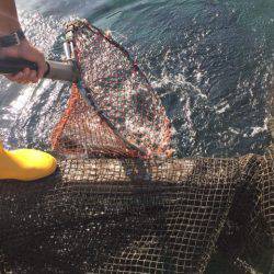 釣り堀水宝 釣果