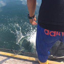 釣り堀水宝 釣果