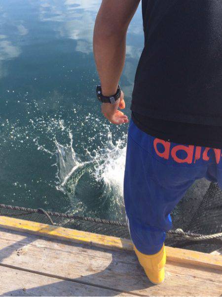 釣り堀水宝 釣果