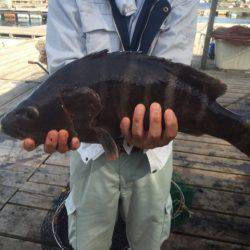 釣り堀水宝 釣果