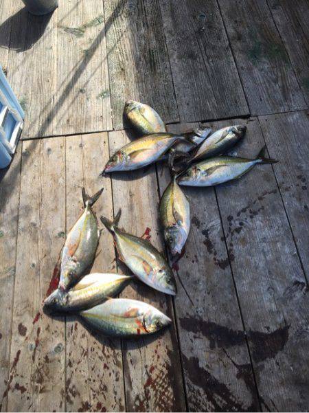 釣り堀水宝 釣果