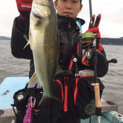 アマテラス 釣果