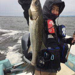 アマテラス 釣果