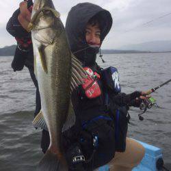 アマテラス 釣果