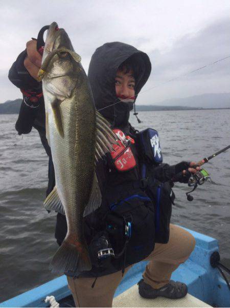 アマテラス 釣果