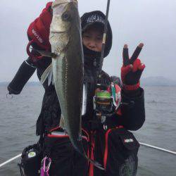 アマテラス 釣果