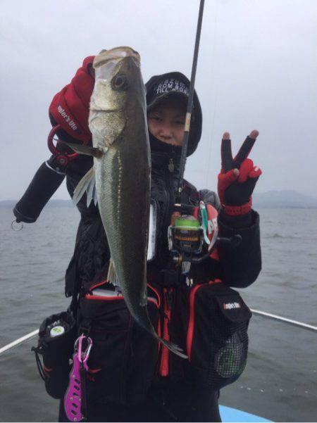 アマテラス 釣果