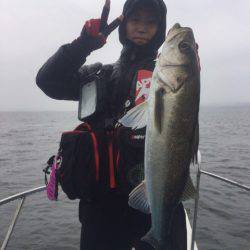 アマテラス 釣果