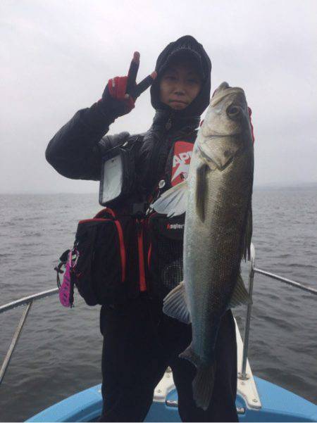 アマテラス 釣果