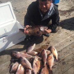 釣り堀水宝 釣果