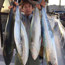 ビッグファイター 釣果