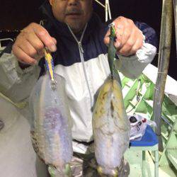 ヤザワ渡船 釣果