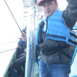 ヤザワ渡船 釣果