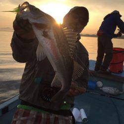 アマテラス 釣果