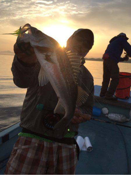 アマテラス 釣果