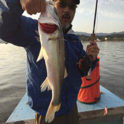 アマテラス 釣果