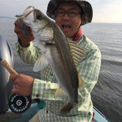 アマテラス 釣果