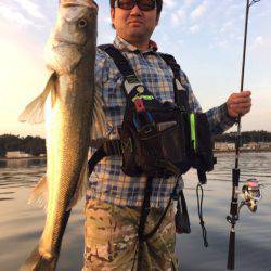 アマテラス 釣果