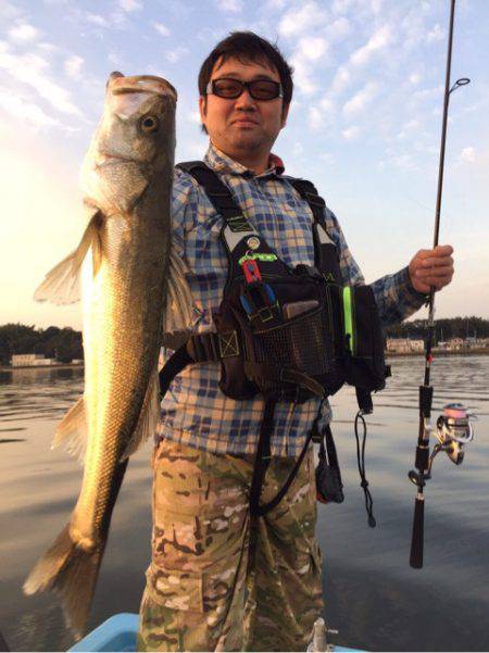 アマテラス 釣果