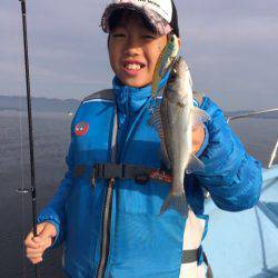 アマテラス 釣果