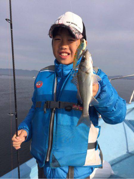 アマテラス 釣果