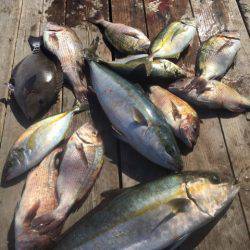 釣り堀水宝 釣果