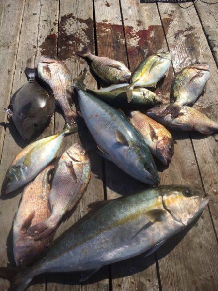 釣り堀水宝 釣果