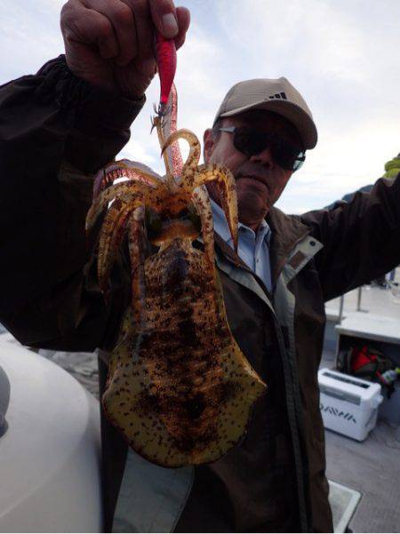 まるいち丸 ZERO-1 釣果