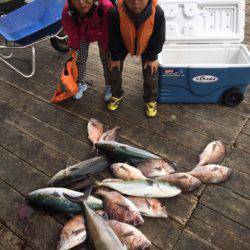 釣り堀水宝 釣果