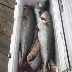 釣り堀水宝 釣果